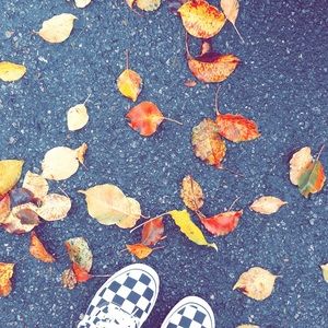 Meet your Posher, Yasmin